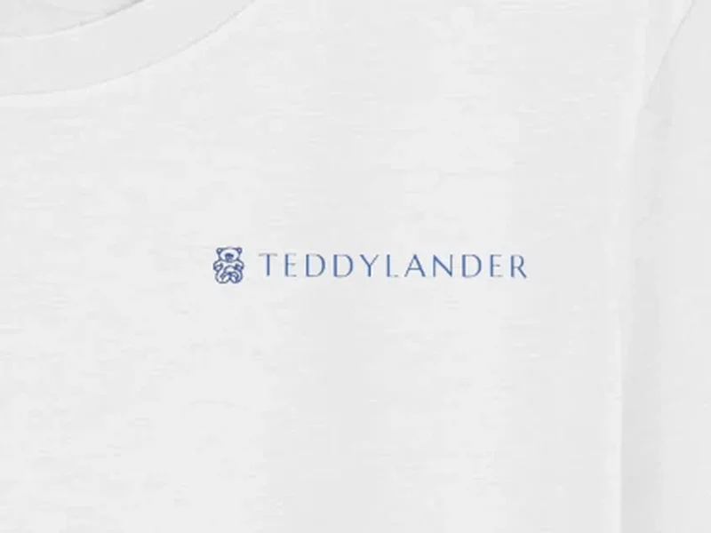 Close-up: TeddyLander Launch Tee, logo on the fabric