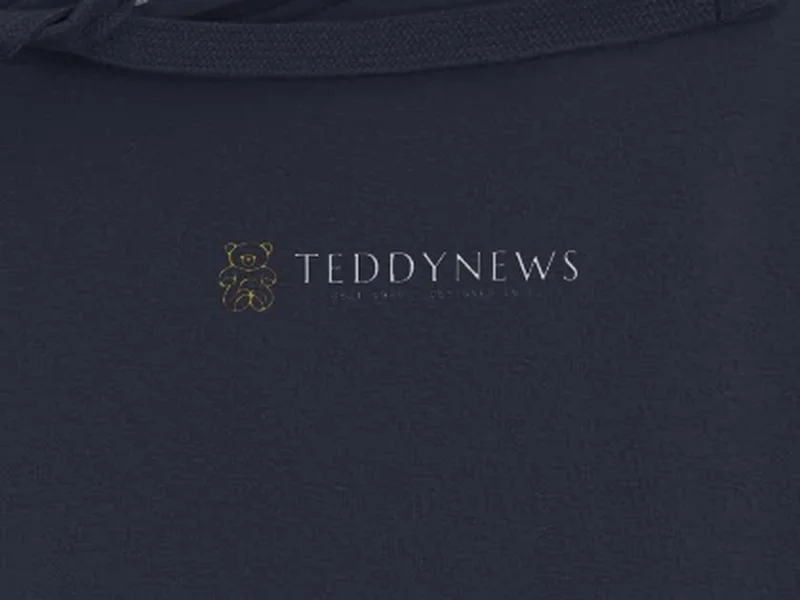 Close-up: Teddynews Signature Hoodie, logo on the fabric
