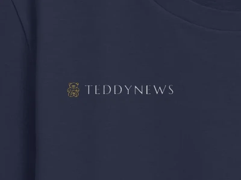 Close-up: Teddynews Signature Tee, logo on the fabric